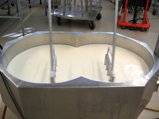 Фотография к новости Обработка молока и его пастеризация
