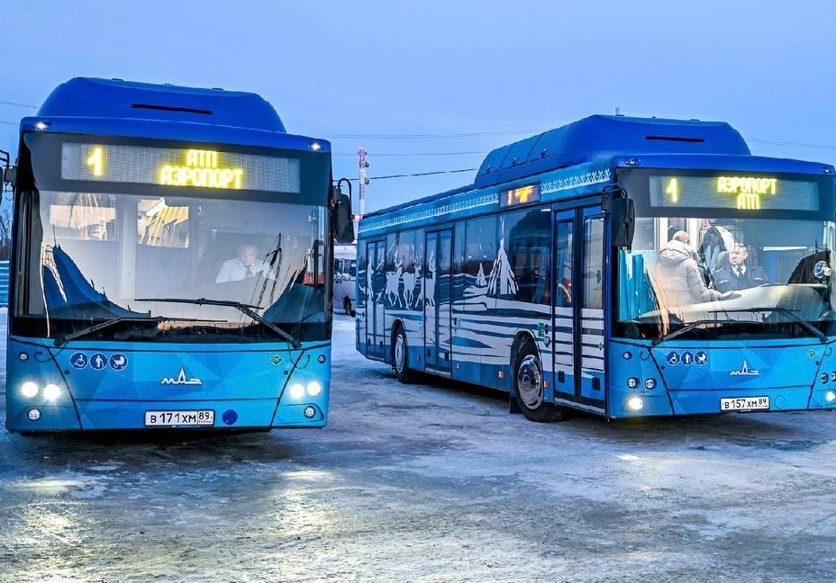 Фотография к новости Категория Д: Новосибирску требуются водители автобусов