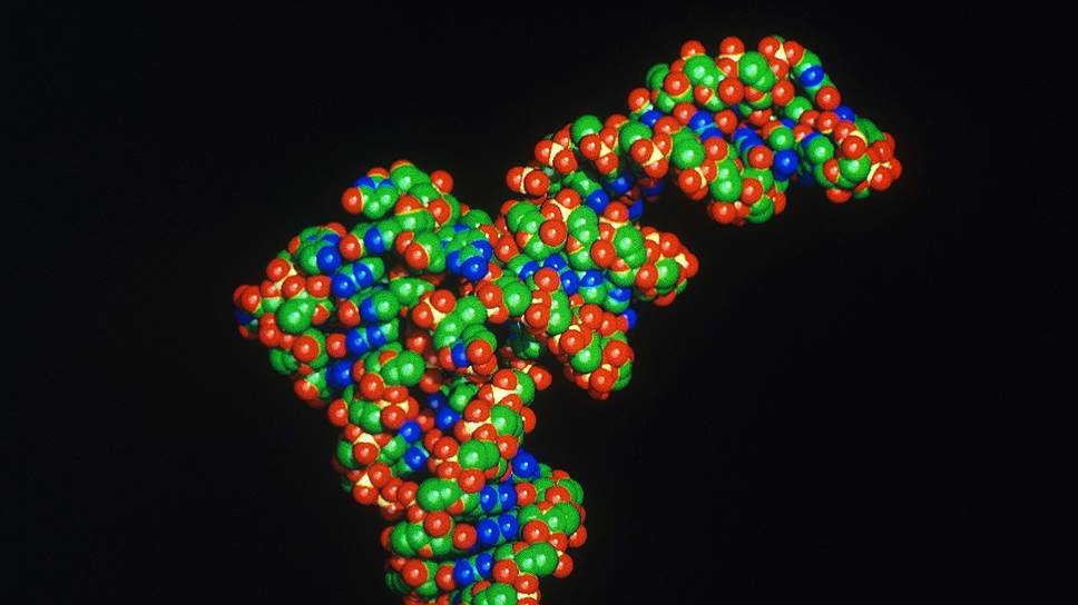 Фотография к новости Двойные личности, визуализируемые для изменяющей форму молекулы